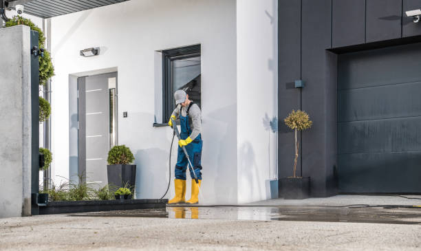 Best Patio and Deck Pressure Washing  in Edinburg, TX